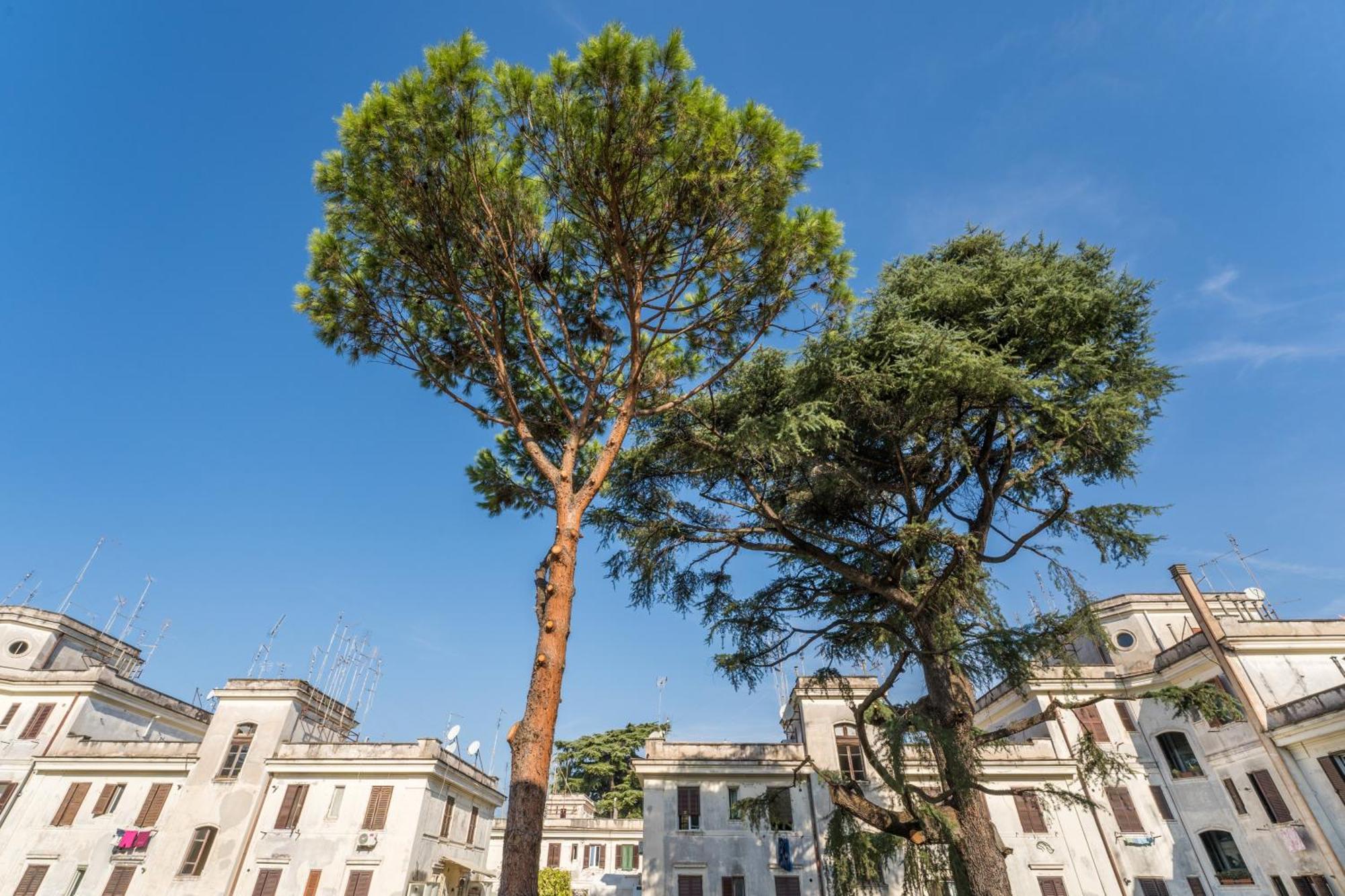 Fisher'S Apartment In Testaccio Róma Kültér fotó